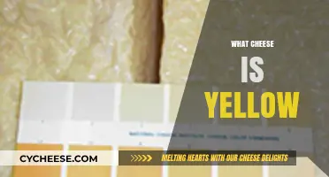 Why Is Cheese Yellow? Exploring the Science Behind Its Color