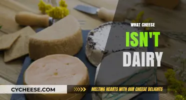 Exploring Non-Dairy Cheese Alternatives: Plant-Based Options for Cheese Lovers