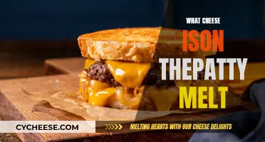 Cheese Choices for the Perfect Patty Melt