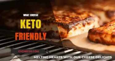 Keto-Friendly Cheese Guide: Top Choices for Your Low-Carb Diet