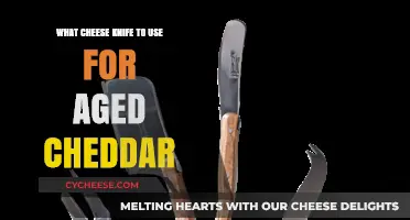 The Best Cheese Knife for Aged Cheddar
