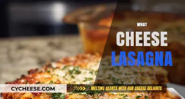 What Cheese Lasagna: Perfect Layers, Cheesy Bliss, and Classic Recipe Tips