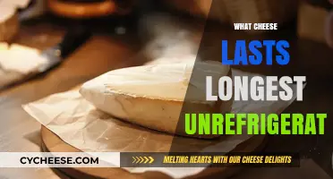 Unrefrigerated Cheese Survival Guide: Which Varieties Last the Longest?