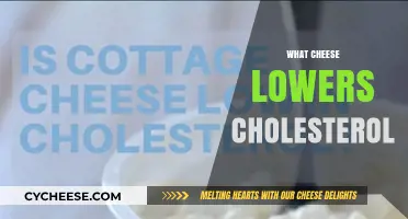 Cheese and Cholesterol: Surprising Dairy Options to Lower LDL Levels