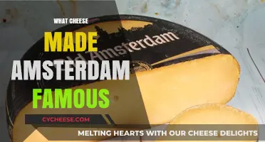 Amsterdam's Golden Age: The Cheesy Story of Gouda's Rise to Fame