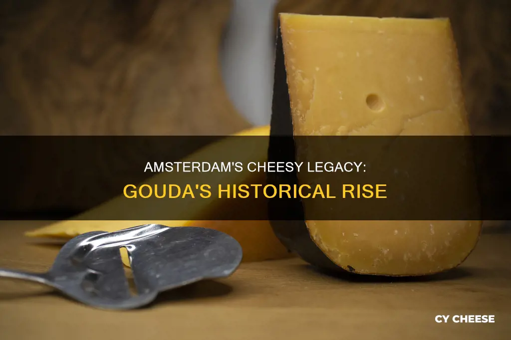 what cheese made amsterdam famous