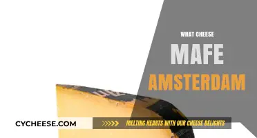 Discovering the Cheesy Delight: What Makes Amsterdam's Cheese Unique