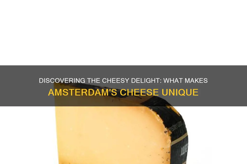 what cheese mafe amsterdam