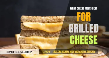 Best Cheeses for Grilled Sandwiches: Melting Magic