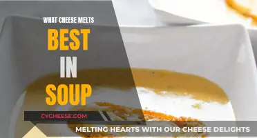 Cheese Soup: Melting the Best Cheeses