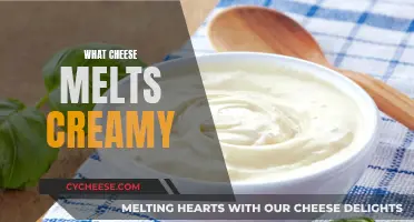 The Best Cheeses for a Creamy Melt