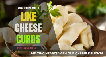 Cheese Curds: Melting Magic and More