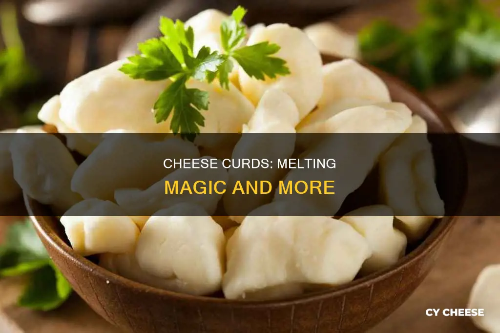 what cheese melts like cheese curds