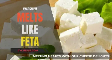 Cheese Like Feta: Melting Magic for Your Meals