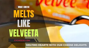 Cheese Options That Melt Like Velveeta