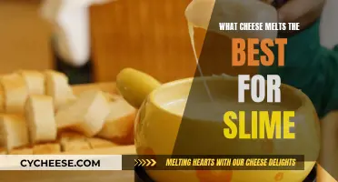 Best Cheeses for Slime: Melting Magic