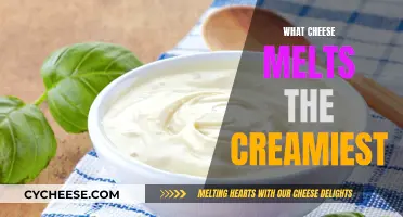 The Creamiest Cheeses: Melting Moments