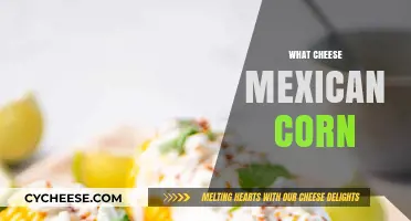 Exploring Mexican Street Corn with Creamy Cheese Toppings