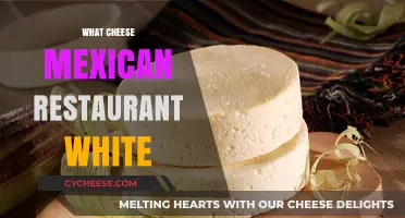 Authentic Mexican White Cheese: A Staple for Your Restaurant's Menu