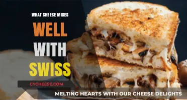 Cheeses That Complement Swiss: A Perfect Blend