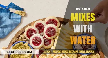 Discover the Perfect Cheese and Water Pairings for Unique Recipes
