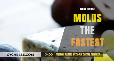 Which Cheese Molds Fastest? A Quick Aging Experiment Revealed