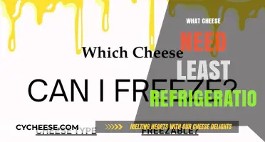 Cheeses That Last Longer: Minimal Refrigeration Required for These Varieties