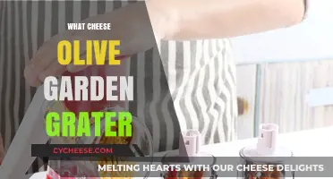 Olive Garden's Cheese Grater: A Culinary Tool for Perfectly Grated Cheese