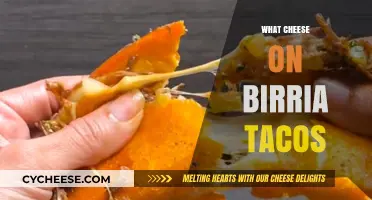 Perfect Cheese Pairings for Birria Tacos: A Flavorful Guide