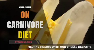 Cheese on Carnivore Diet: Best Types and Benefits Explained
