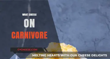 Carnivore Diet Cheese Guide: Best Options for Low-Carb Lovers