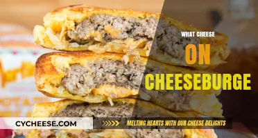 Perfect Cheeseburger Cheese: Top Melty, Savory Picks for Ultimate Flavor