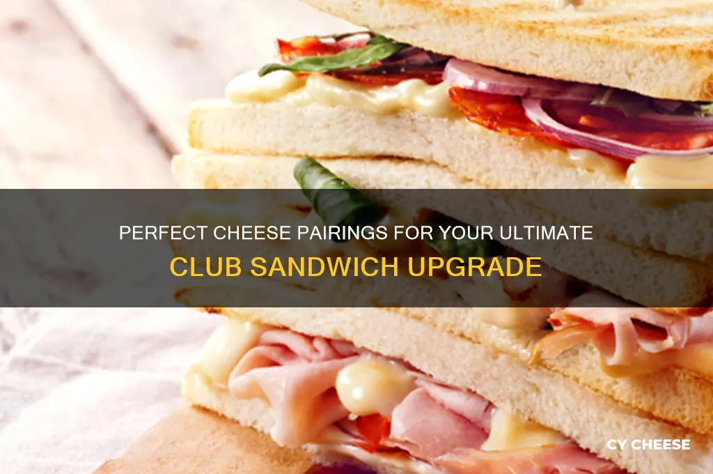 what cheese on club sandwich