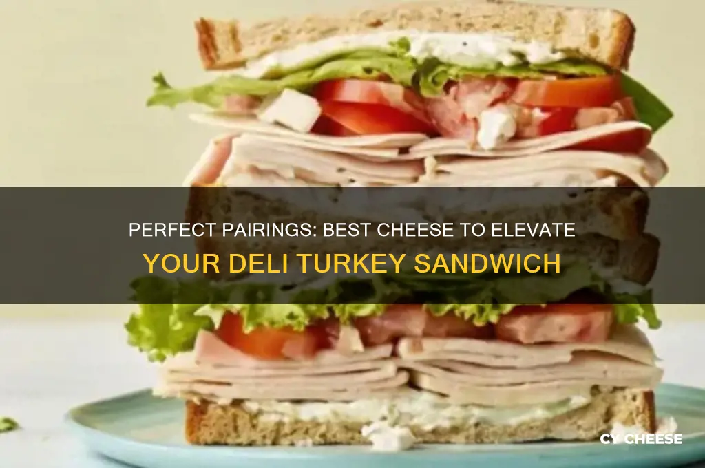 what cheese on deli turkey