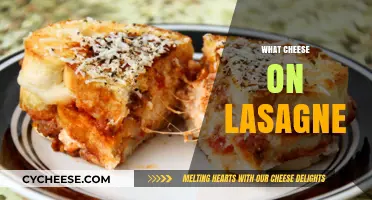Perfect Lasagne Cheese: Top Picks for Creamy, Melty Layers