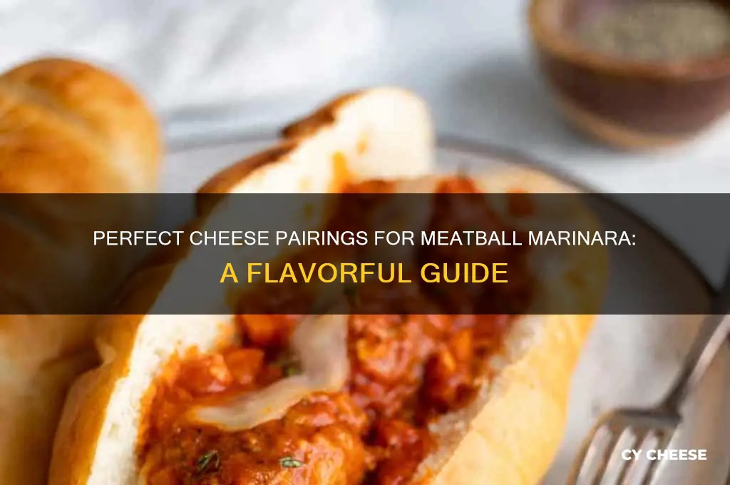 what cheese on meatball marinara
