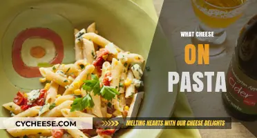 Perfect Cheese Pairings for Pasta: Elevate Your Dish with These Top Choices