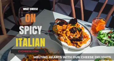 Perfect Cheese Pairings for Your Spicy Italian Sandwich: A Guide