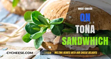 Perfect Cheese Pairings for Your Ultimate Tona Sandwich Creation