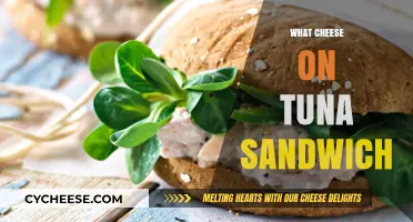 Perfect Pairing: Best Cheese Choices for Your Tuna Sandwich Delight