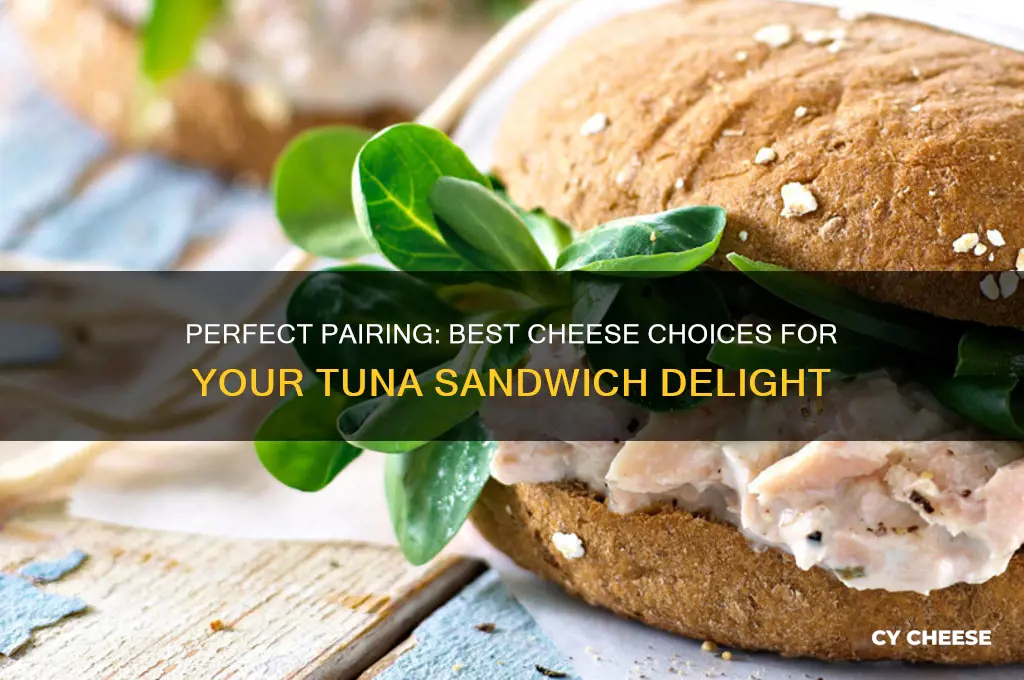 what cheese on tuna sandwich