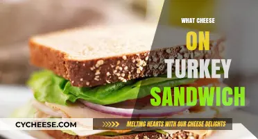 Perfect Cheese Pairings for Your Ultimate Turkey Sandwich Delight