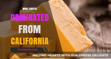 Discovering California's Own: The Unique Cheese Born in the Golden State
