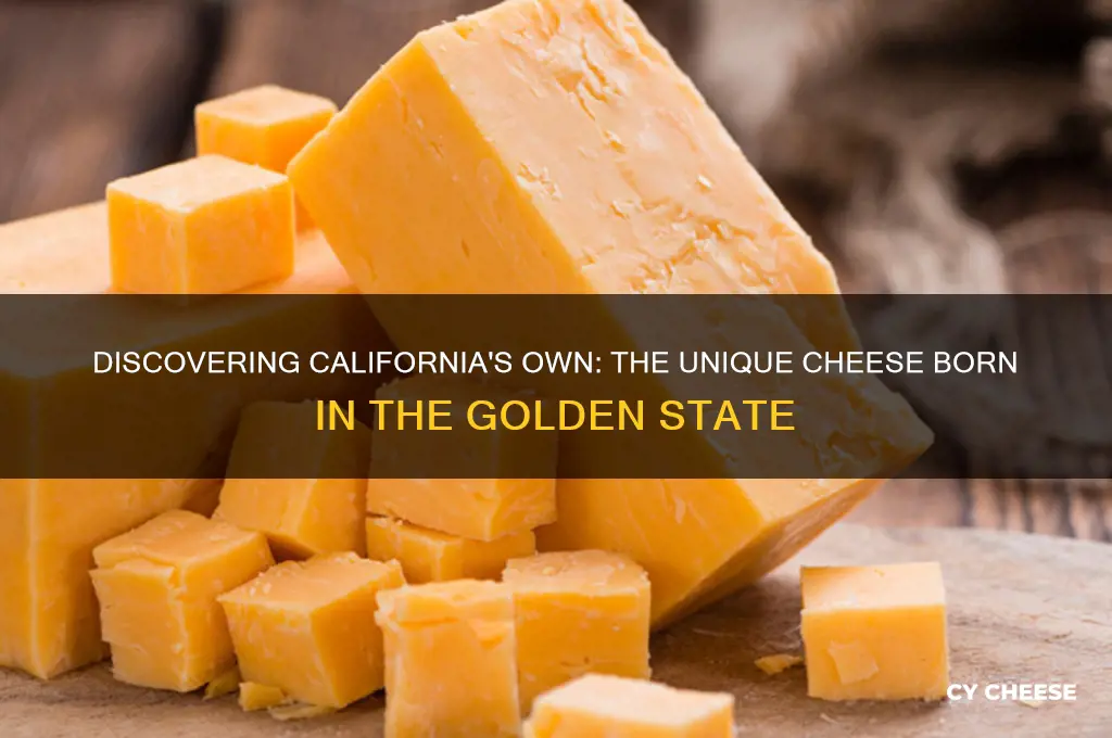what cheese originated from california