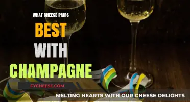 Champagne and Cheese: The Perfect Pairing