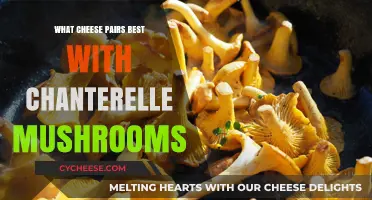The Best Cheeses to Compliment Chanterelles