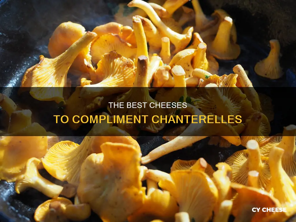 what cheese pairs best with chanterelle mushrooms