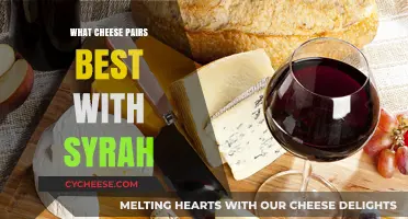 Syrah and Cheese: The Perfect Pairing