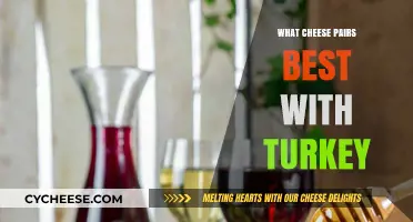 Turkey's Cheesy Companion: Finding the Perfect Pair
