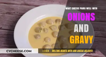 Perfect Cheese Pairings for Onions and Gravy: A Flavorful Guide